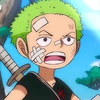 Roronoa Zoro / lúc nhỏ /