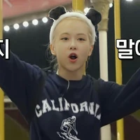 Park Chaeyoung(cô)