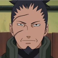Nara Shikaku