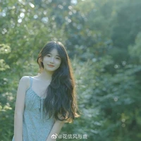 Sử Giai Ý