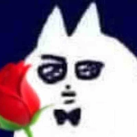 Y/n
