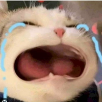 Tác giả cư tê=))