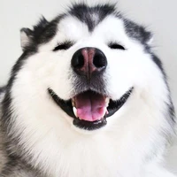 Kuro