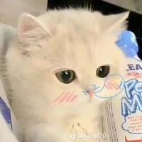 tác giả