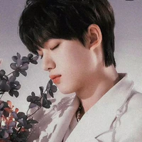 Đinh Trình Hâm