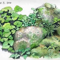 Nhân vật phụ ( Nam nữ tuỳ )