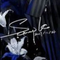 Người Bí Ẩn Trong Đêm