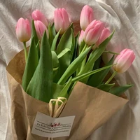 Nhân vật phụ