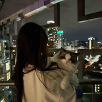Tô Tiểu Hy ( Y/N 2 )
