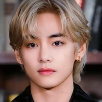 Kim Taehyung ( V )