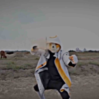 Error Sans 707 