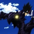 dack shadow