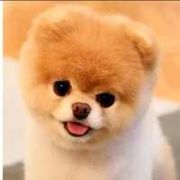 Hệ thống_Tiểu Lam