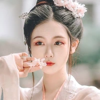 như ý-nô tỳ nữ chính
