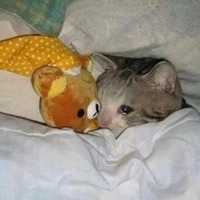 •_Ebe_sợ_maa_•(t/g)