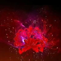 hủ dưới gầm giường bác chiến ( tác giả)