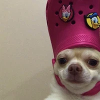 Kylie / tg éc độc =))