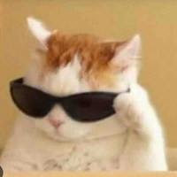 Y/n