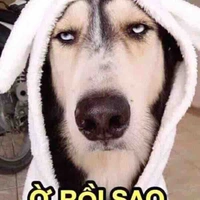 Tác giả
