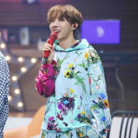 Jung Hoseok(J-Hope)