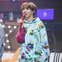Jung Hoseok(J-Hope)