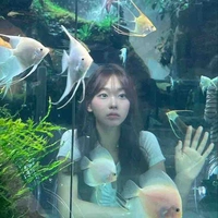 Hạ Kim Ngưu