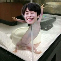 Tg