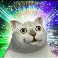 hệ thống cân mọi loại hệ thống