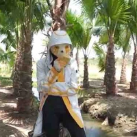 Error 707 sans 