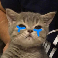 mẻ Tác giả ＼ʕ •ᴥ•ʔ／