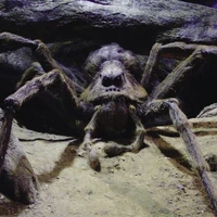 Aragog