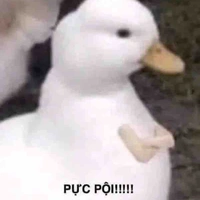 Gv