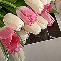 NV phản diện