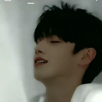 Chu Chí Hâm