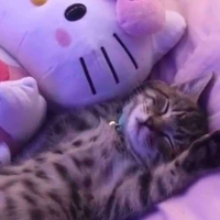 Meow Meow