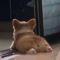 Tác giả
