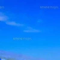 cả lớp