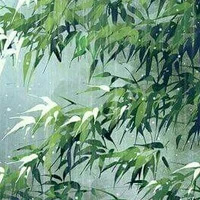 Ma Ma quản lý_{Liễu ma ma}