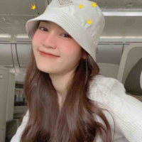 Ninh Dương Lan Ngọc (chị Hiếu) 