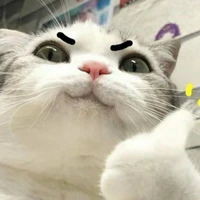 Nhân Vật Gì Cũng Đến Tay