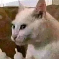 Tác Giả Cutii:3
