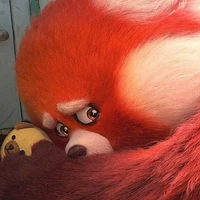 nô tì nói chung