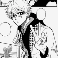 Nagi Seishirou