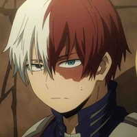 Todoroki Shoto-Shoto