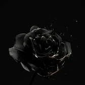 All