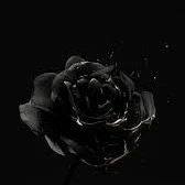 All