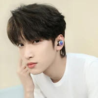 Nghiêm Hạo Tường (Anh)