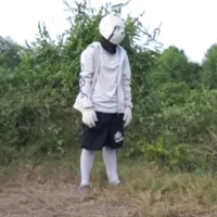 alpha