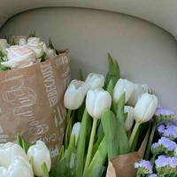 Tác giả hay bị flop