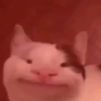 cả lớp